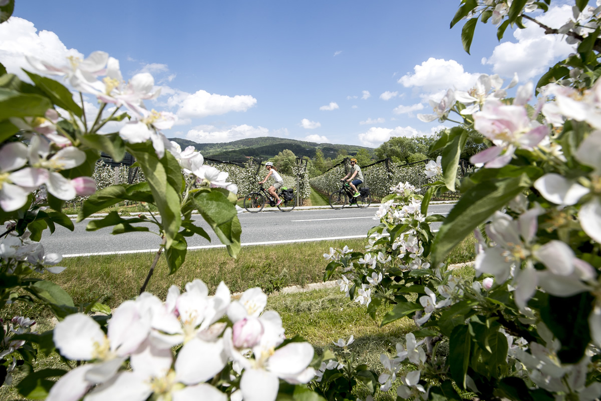 steiermark tourismus ikarus cc